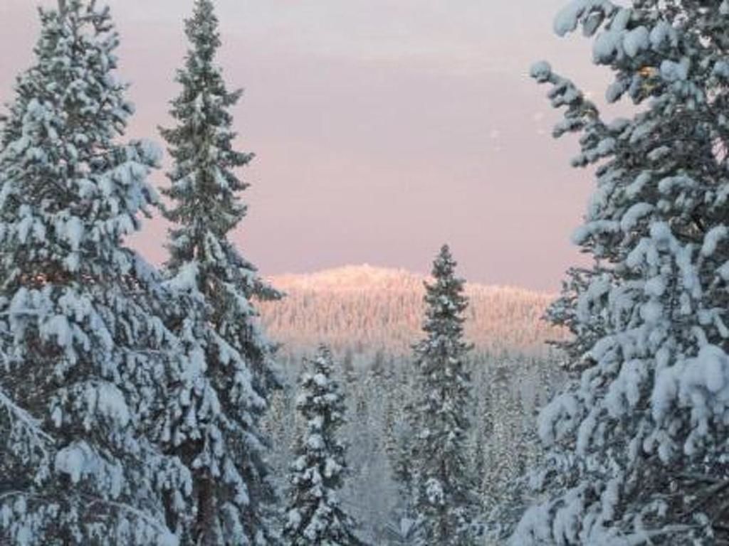 Дома для отпуска Holiday Home Villa vuosselin taiga Рука-34