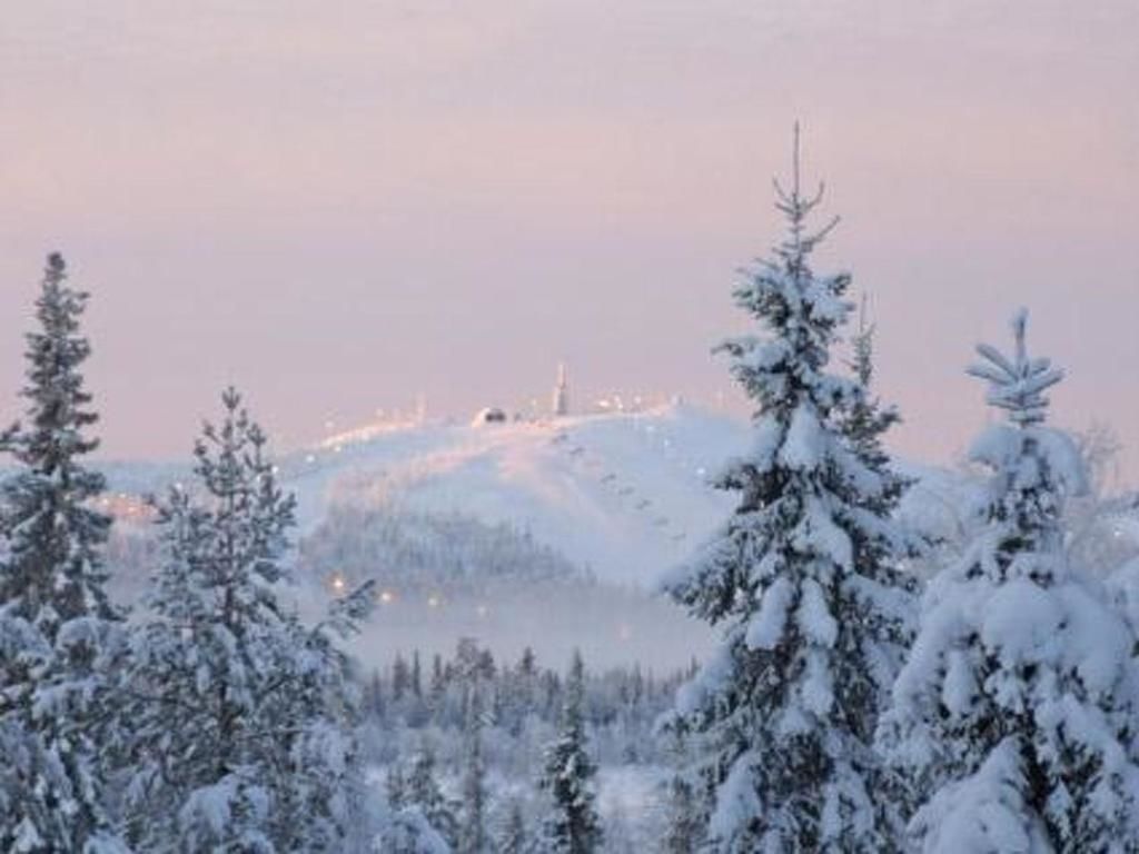Дома для отпуска Holiday Home Villa vuosselin taiga Рука-45