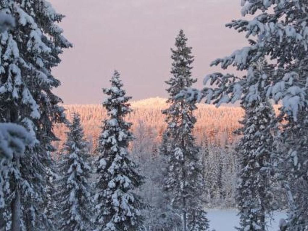 Дома для отпуска Holiday Home Villa vuosselin taiga Рука-46