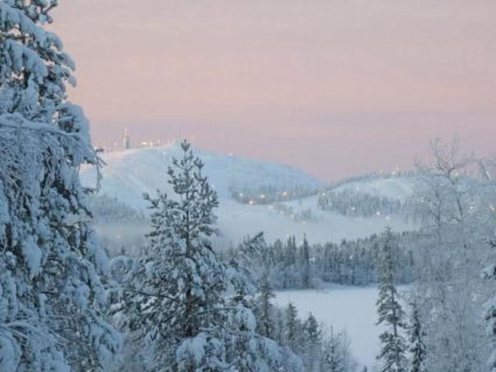 Дома для отпуска Holiday Home Villa vuosselin taiga Рука-59