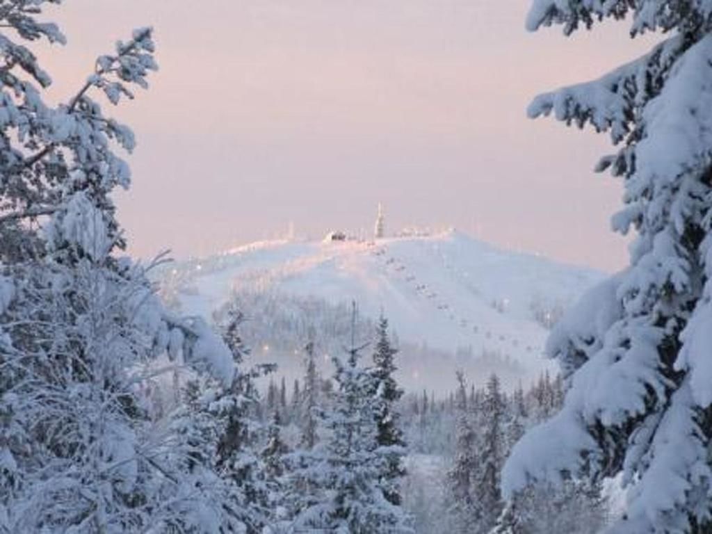 Дома для отпуска Holiday Home Villa vuosselin taiga Рука-61