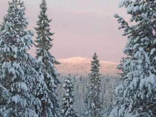 Дома для отпуска Holiday Home Villa vuosselin taiga Рука Дом для отпуска-2
