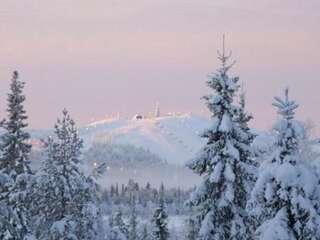 Дома для отпуска Holiday Home Villa vuosselin taiga Рука Дом для отпуска-13