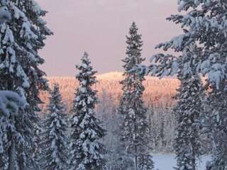 Дома для отпуска Holiday Home Villa vuosselin taiga Рука Дом для отпуска-14