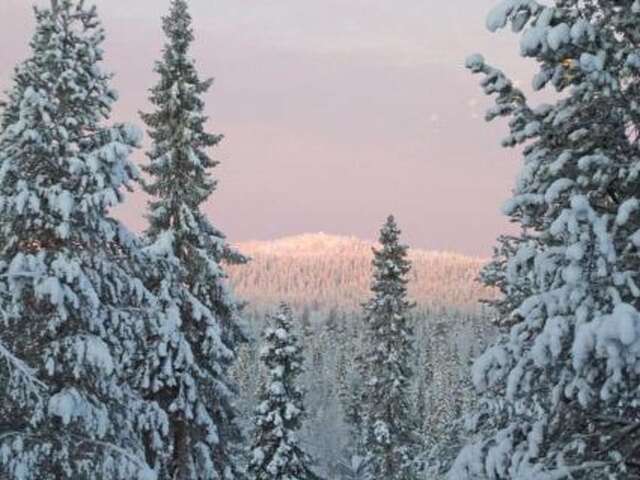 Дома для отпуска Holiday Home Villa vuosselin taiga Рука-33