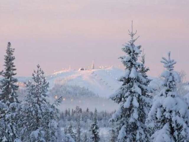 Дома для отпуска Holiday Home Villa vuosselin taiga Рука-44